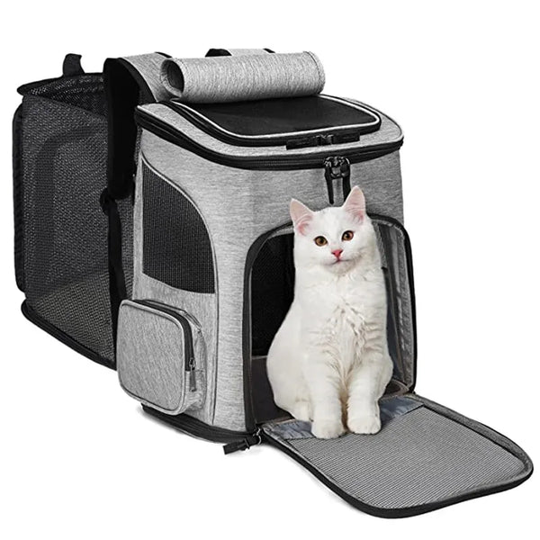 Sac à dos pour chats pliable et respirant avec une grande capacité