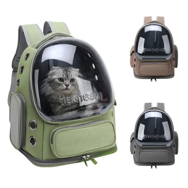 Sac à dos pour chats transparent et respirant, idéal pour les voyages et sorties